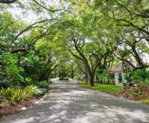 acheter un quadruplex à Miami